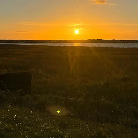 Indoor And Outdoor Life In Simple Design Gem * Vig