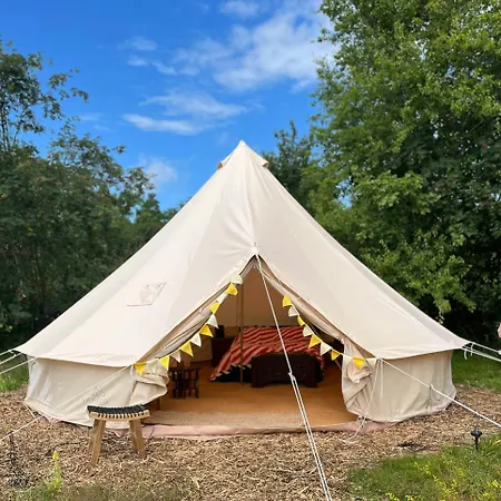 Dom wakacyjny Indoor And Outdoor Life In Simple Design Gem *